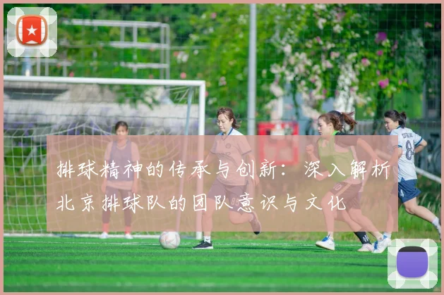 排球精神的传承与创新：深入解析北京排球队的团队意识与文化