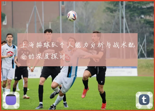 上海排球队个人能力分析与战术配合的深度探讨