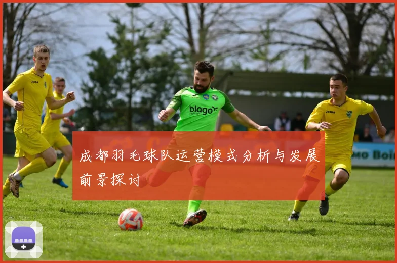 成都羽毛球队运营模式分析与发展前景探讨