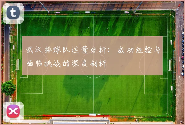 武汉排球队运营分析：成功经验与面临挑战的深度剖析