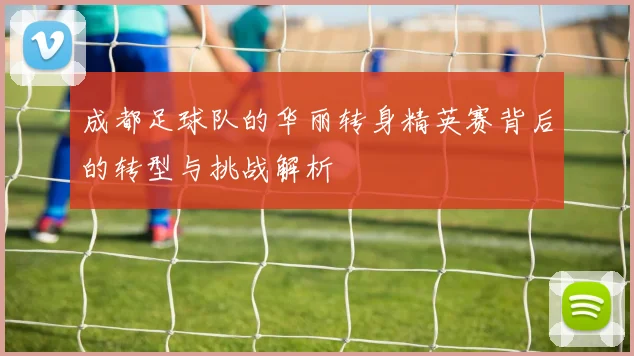 成都足球队的华丽转身精英赛背后的转型与挑战解析